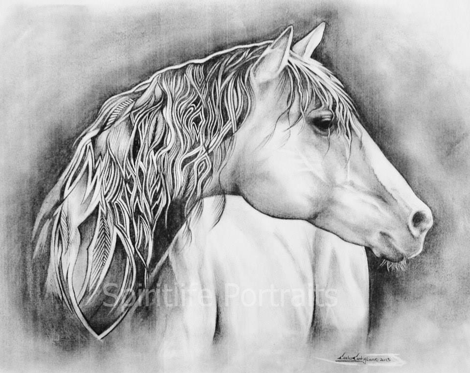 Spiritlife Portraits - Horse Drawing